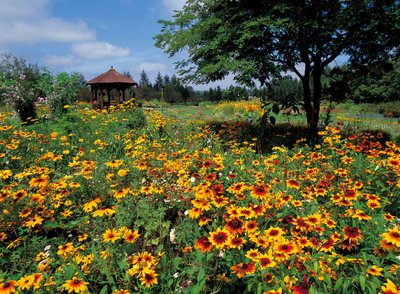 🌸 시치쿠 가든 이미지 2